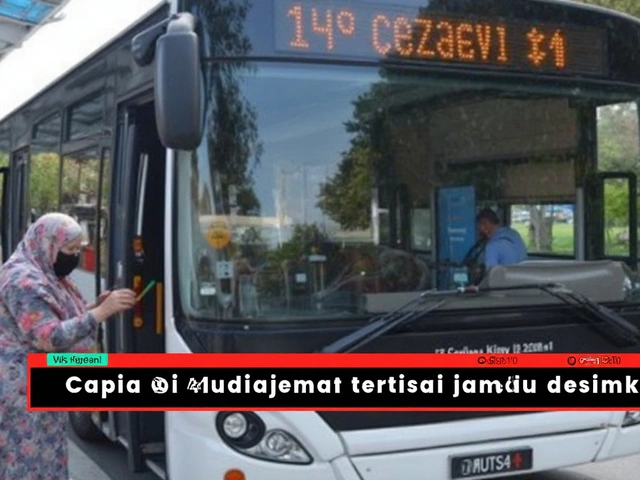 Milli Ağaçlandırma Günü: 81 İlde Eşzamanlı Fidan Dikimiyle Geleceğe Nefes